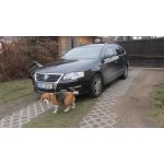 VW Passat, kamera typu CCD v osvtlen SPZ, zobrazen na originlnm rdiu s navigac