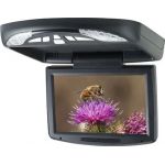 LCD monitor s DVD